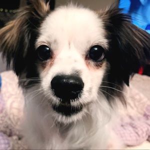 Meet your Posher, Haley